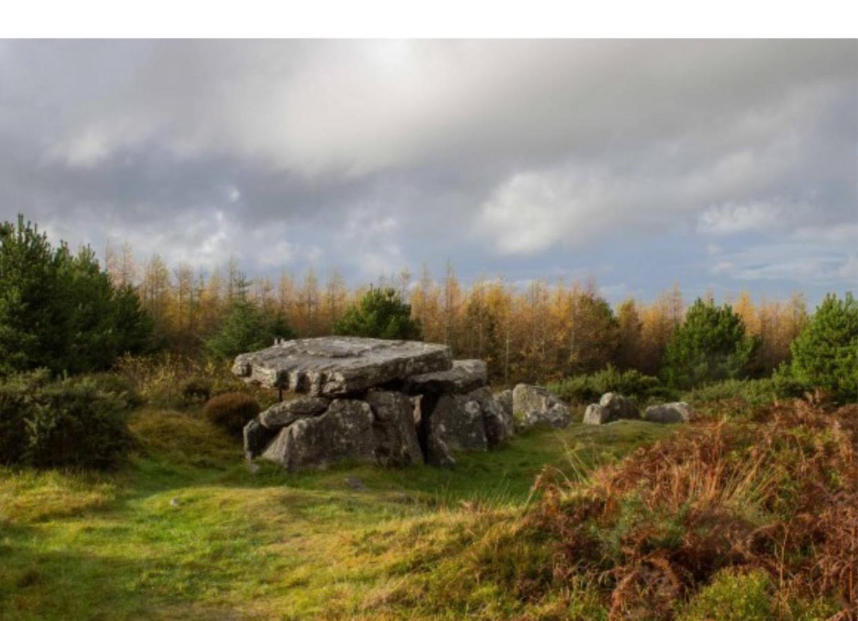 Corderry Farmhouse, Idyllic Cottage Amid 250 Acres Lisvernane Buitenkant foto